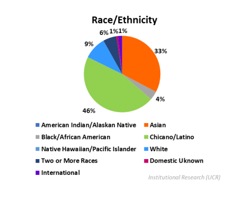 Undergraduate Student Race