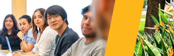 DEI: Professional Development Header Image